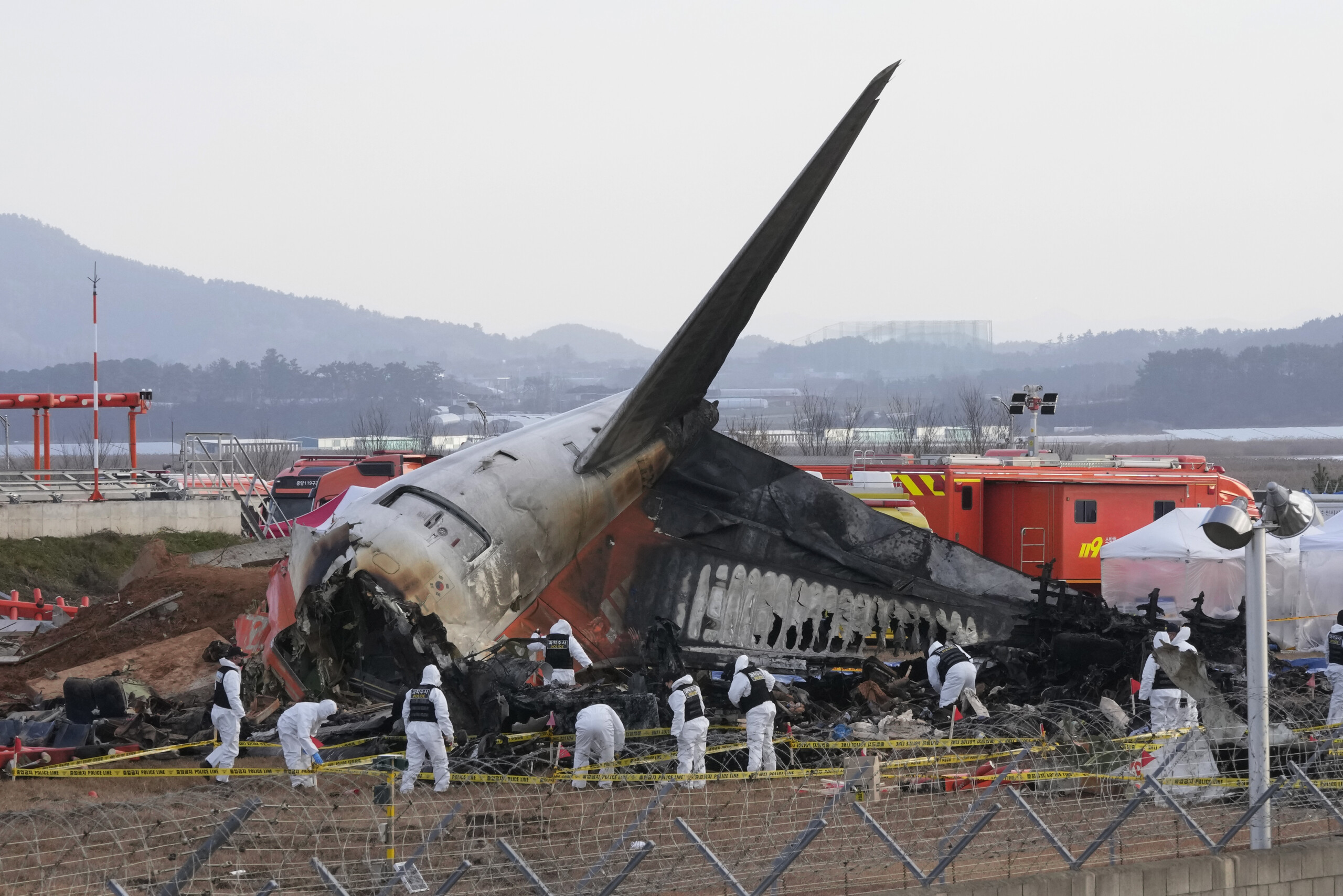 coree du sud accident davion a muan des traces doiseaux retrouvees dans le moteur scaled