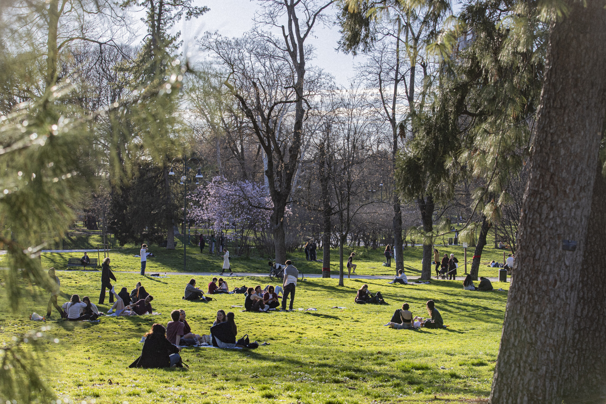 climat janvier 2025 le plus chaud de lhistoire scaled