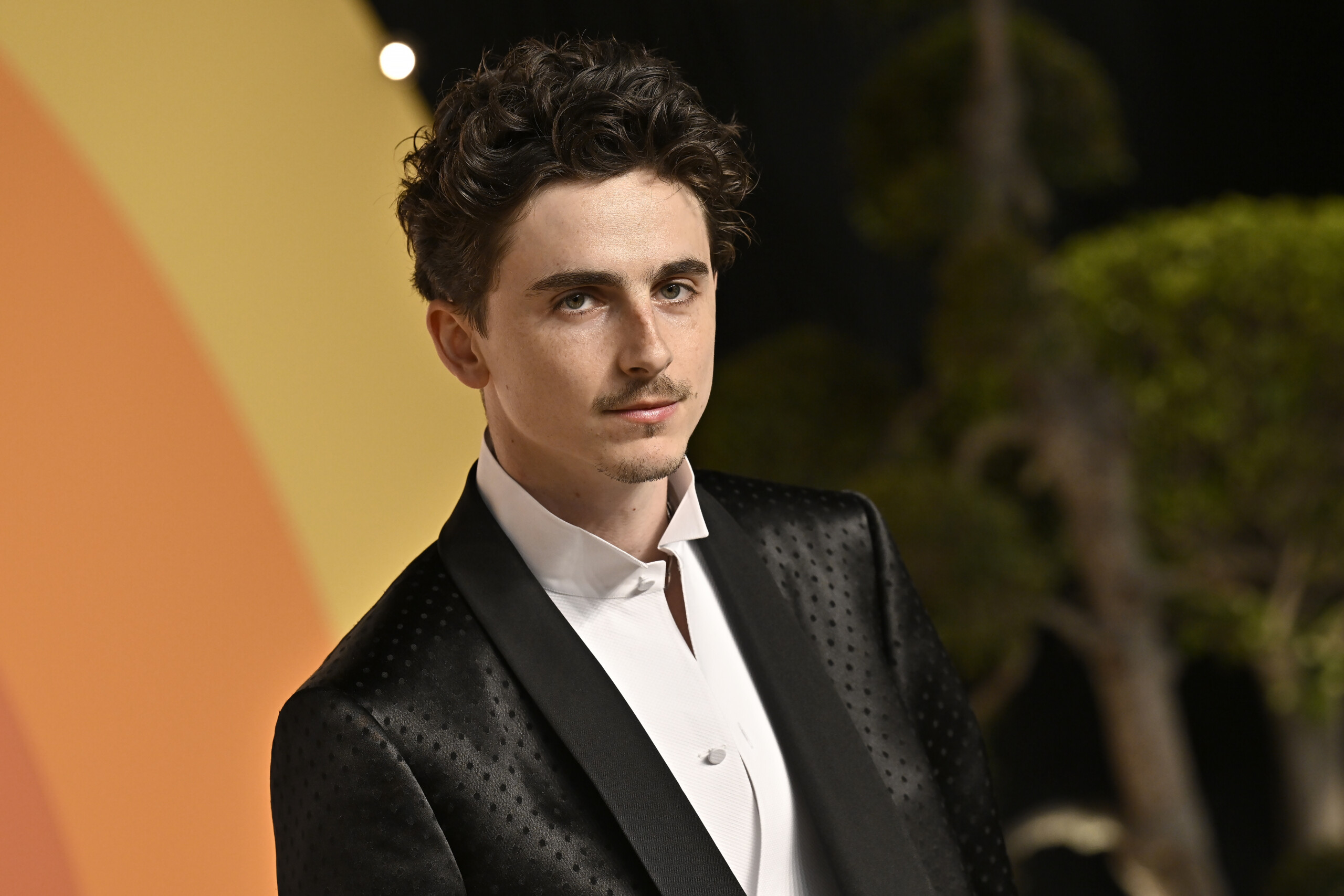 david di donatello timothee chalamet recevra le prix special scaled