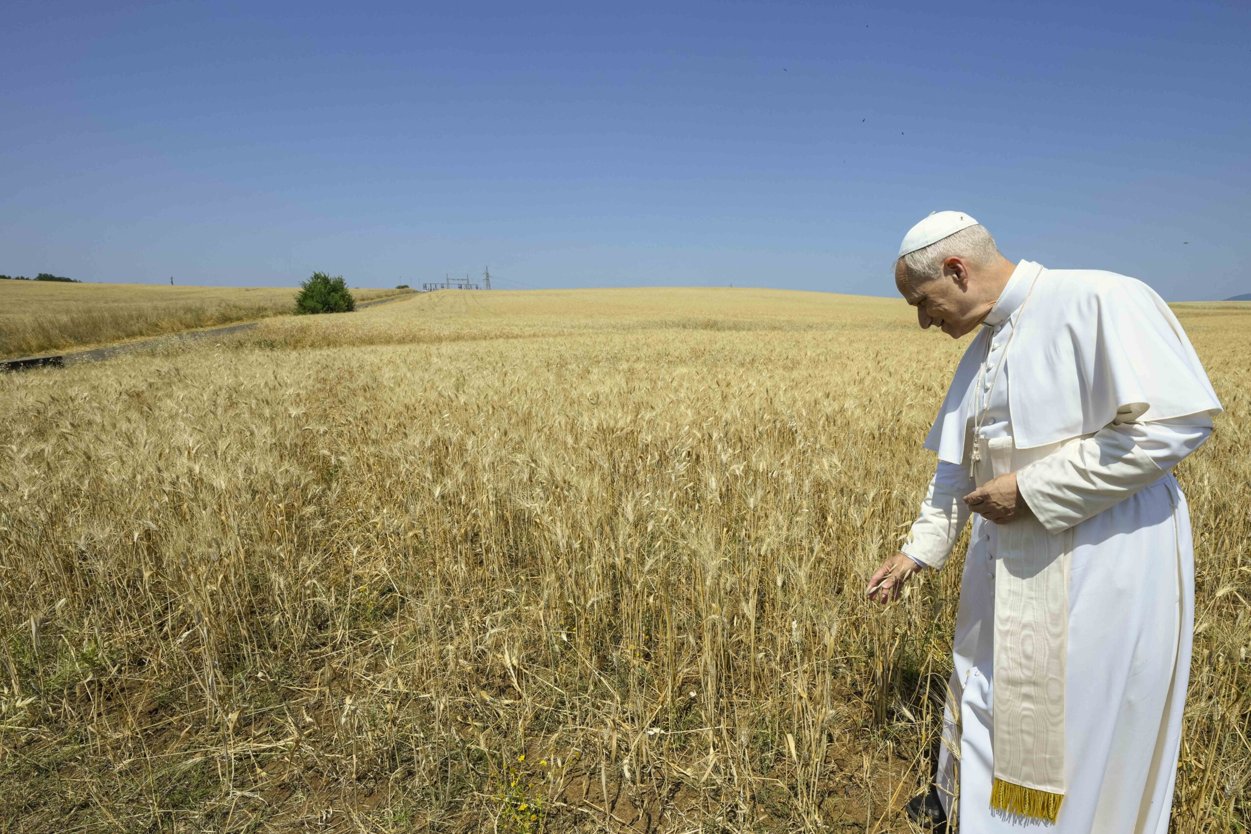 le pape leon xiv au tg1 unissons nous pour trouver des solutions a la guerre scaled