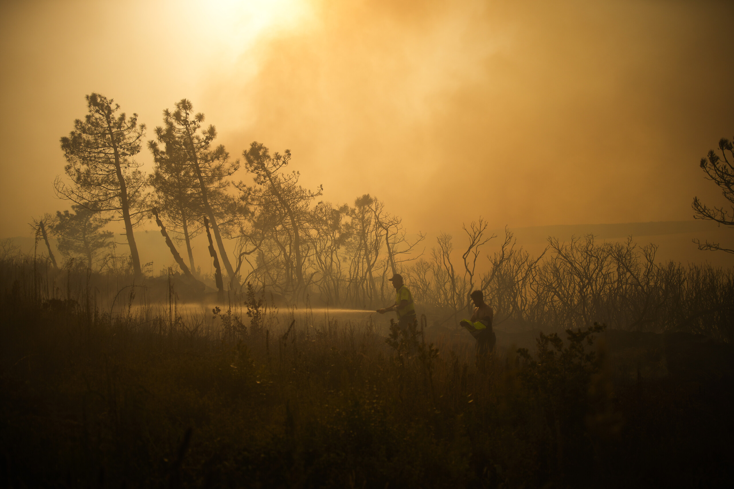 la turquie aux prises avec les incendies evacuations en cours dans la province dizmir scaled
