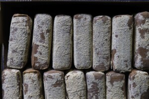 catane plus de 60 kg de cocaine saisis dans un semi remorque 1 arrestation