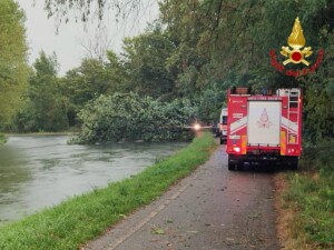 intemperies une femme meurt apres la chute dun arbre pres de milan