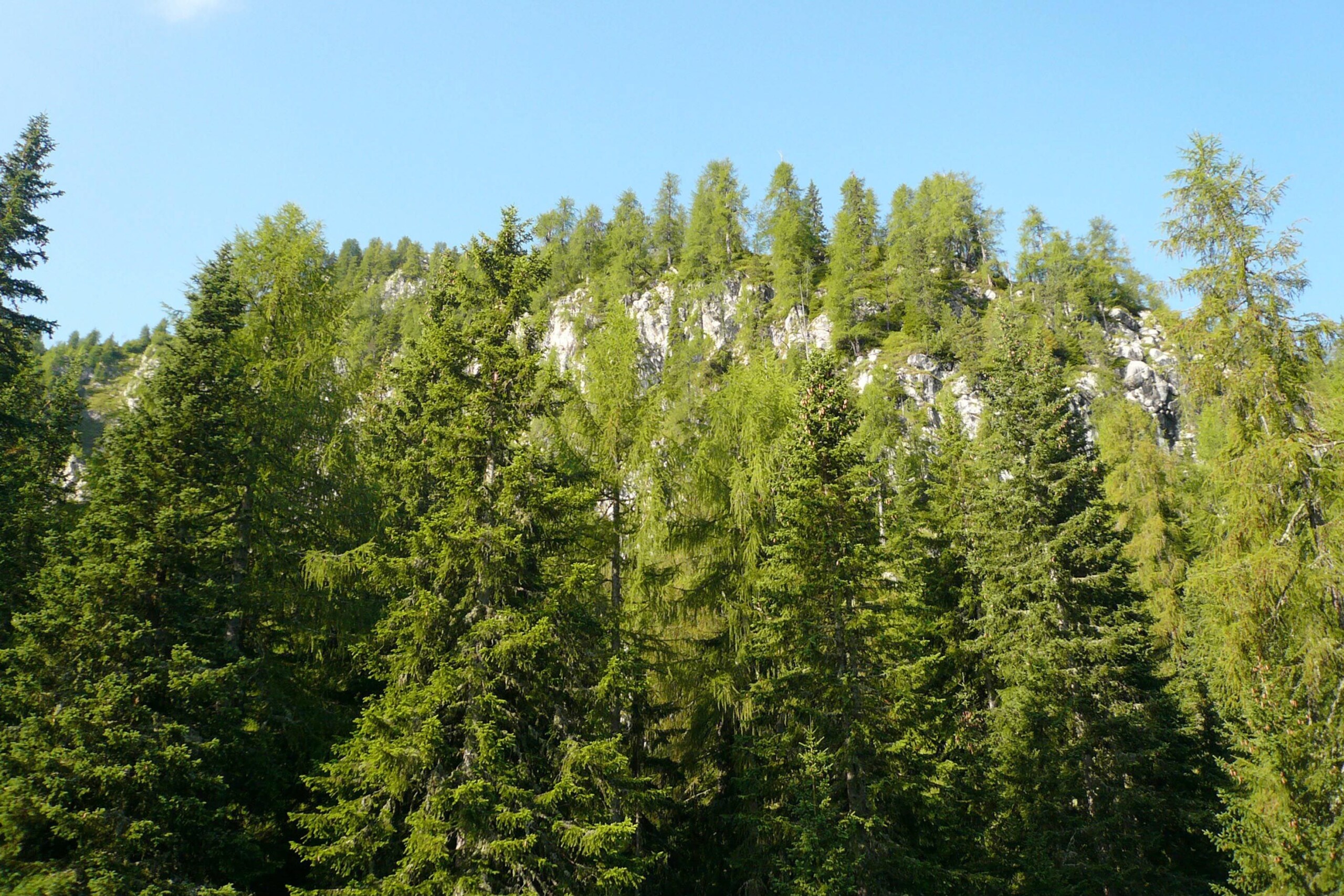 montagne un jeune homme de 21 ans porte disparu depuis hier retrouve mort au piemont scaled