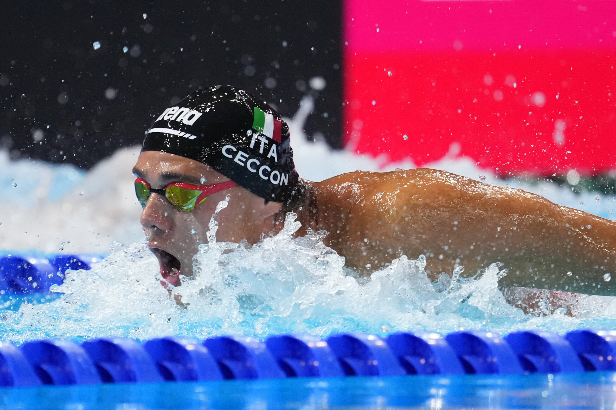 natation championnats du monde a singapour ceccon en finale avec un record italien au 100 metres papillon scaled