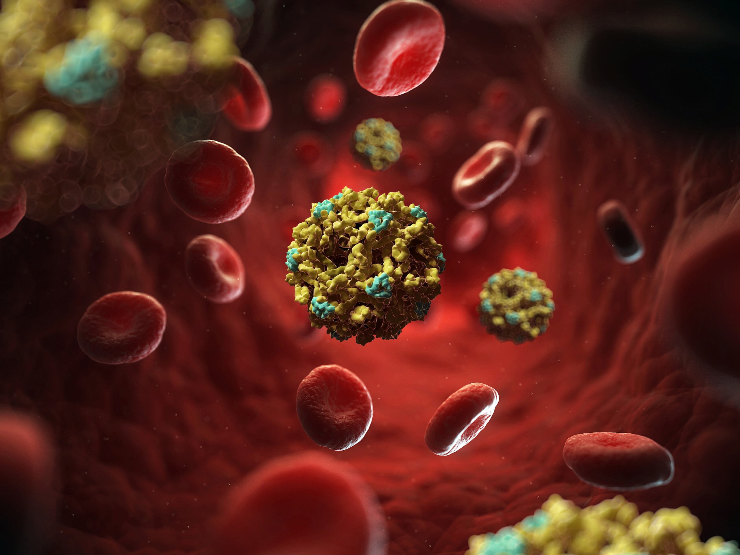 virus du nil occidental deces dune femme de 83 ans sixieme victime dans le latium scaled