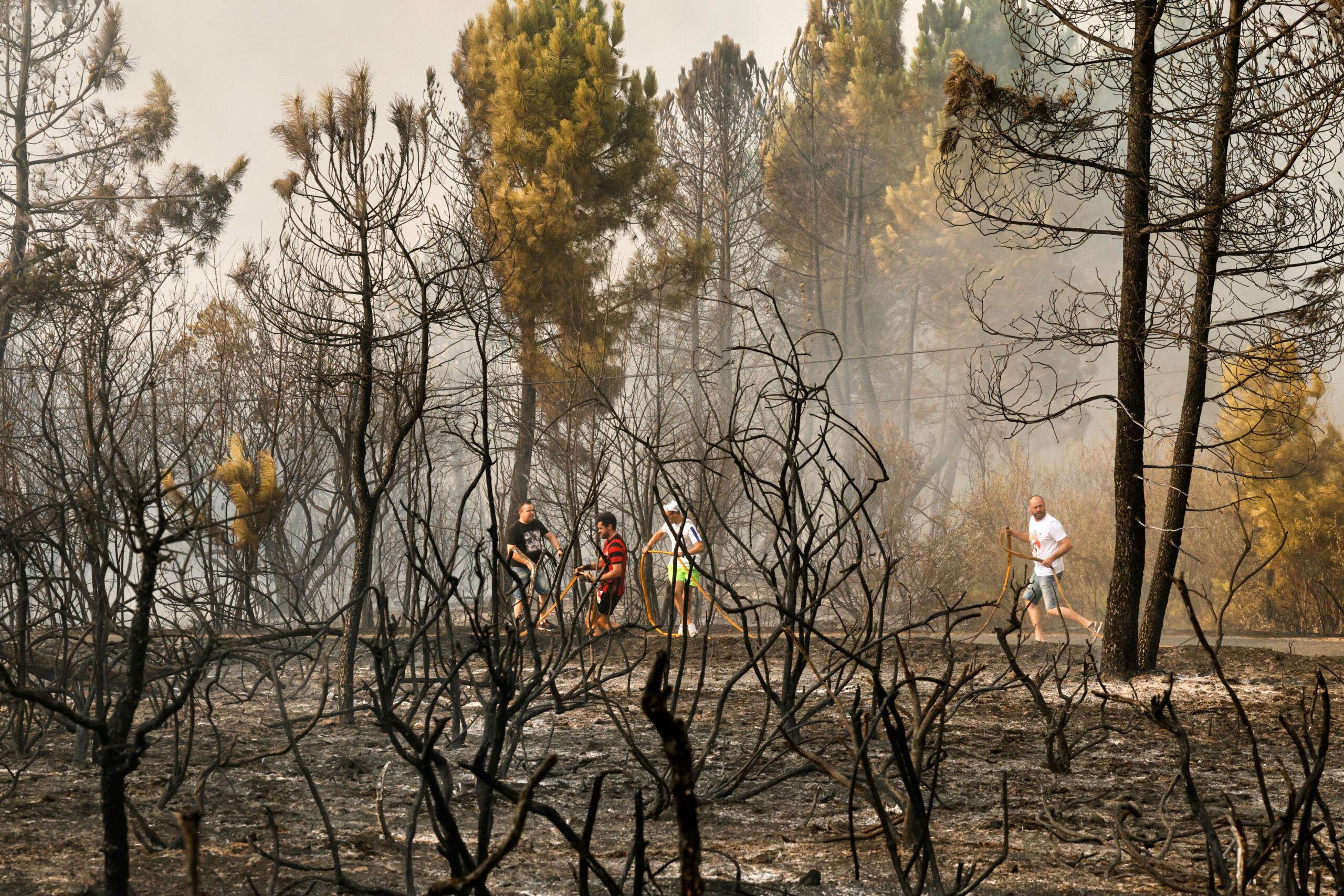 espagne le responsable de six incendies de foret a malaga a ete arrete scaled