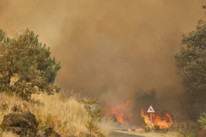 espagne 2 566 habitants de 43 communes evacues en raison des incendies