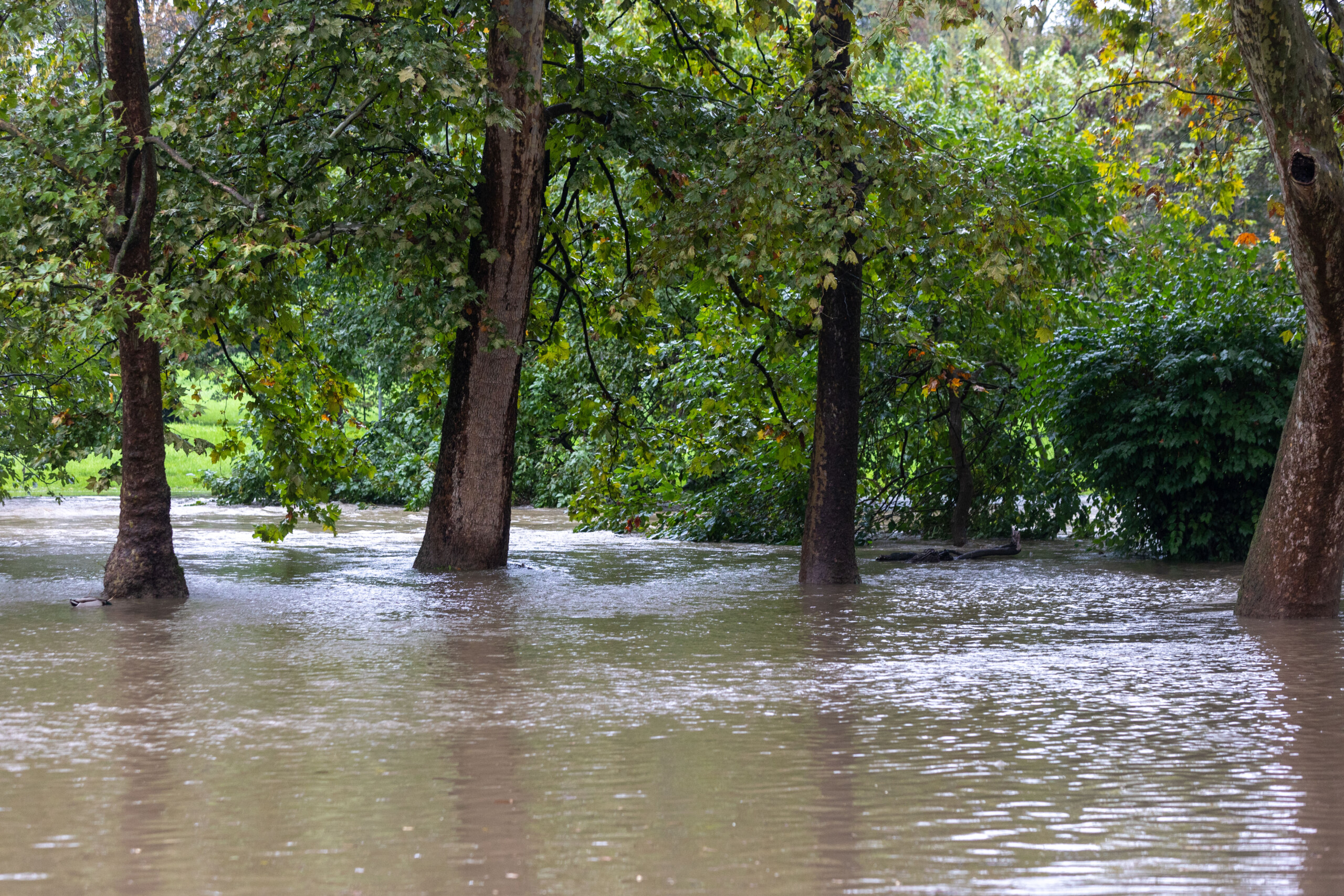 mauvais temps fortes pluies a milan risque dinondation du lambro scaled