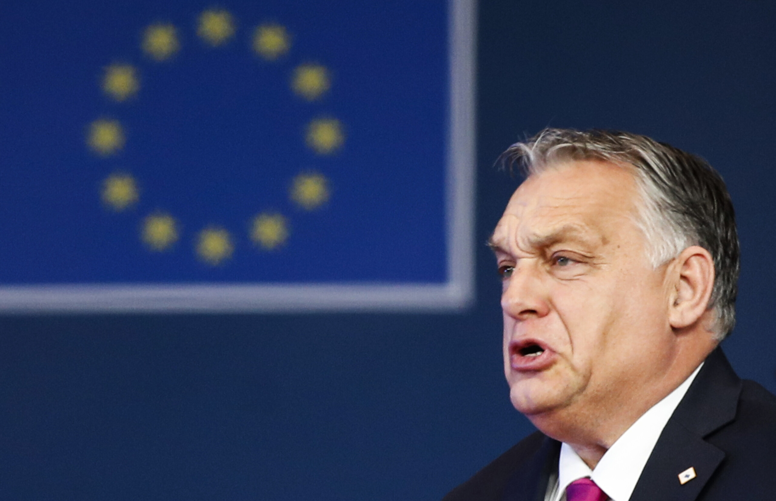 affaire salis budapest le parlement europeen legitime le terrorisme de gauche scaled
