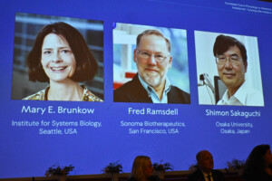 nobel prix medical a mary e brunkow fred ramsdell et shimon sakaguchi