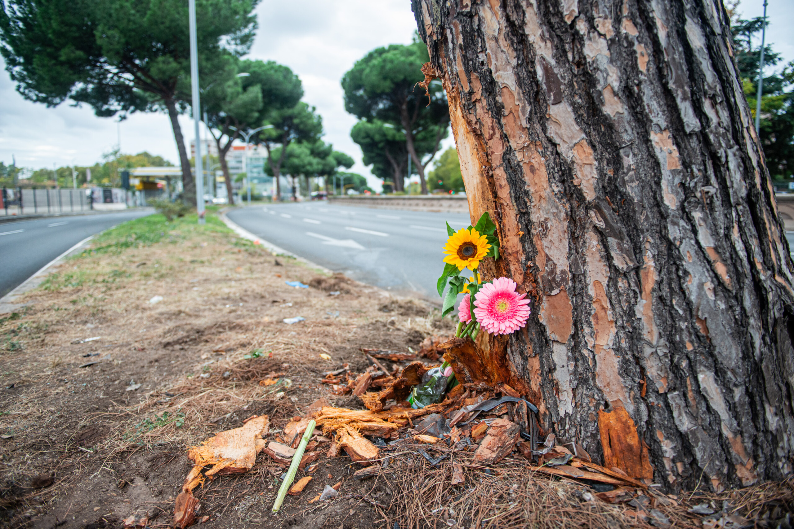 accident a rome autopsie pratiquee sur une jeune femme de 20 ans decedee des suites dun traumatisme thoracique scaled