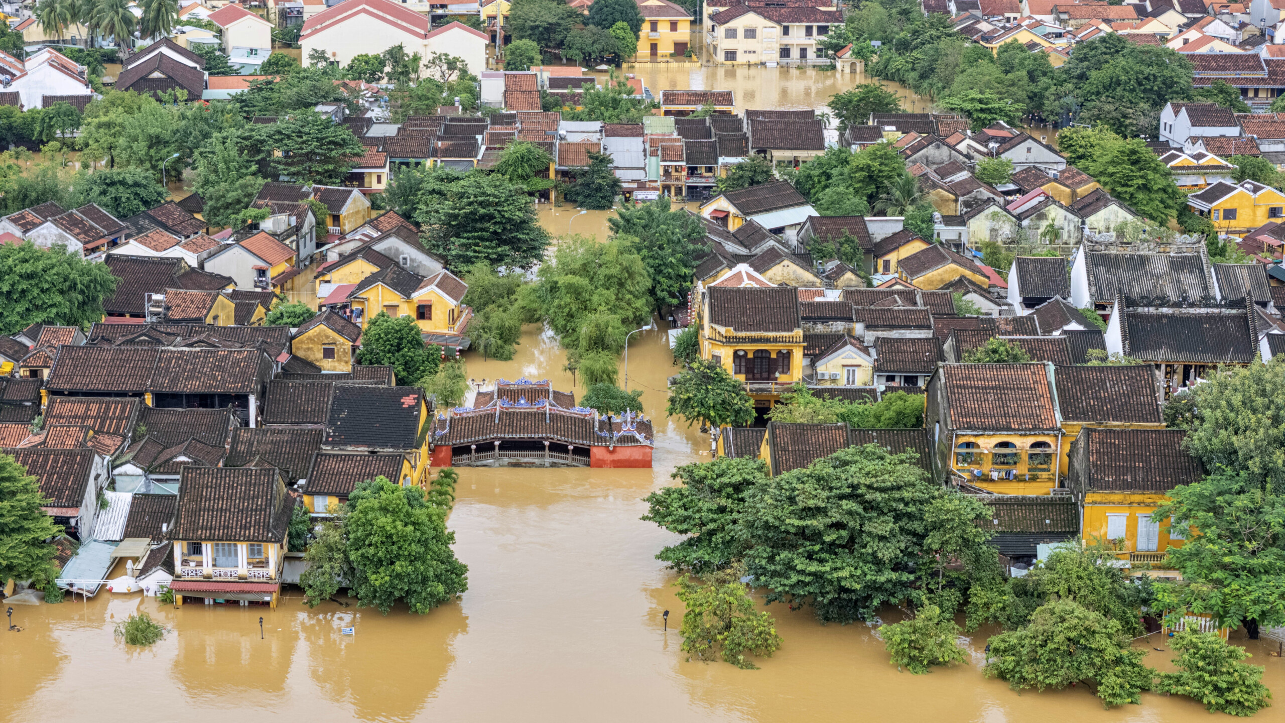 Vietnam, inondations et glissements de terrain : le bilan monte à 37 morts, 78 blessés et 5 disparus 1 vietnam inondations et glissements de terrain le bilan monte a 37 morts 78 blesses et 5 disparus scaled