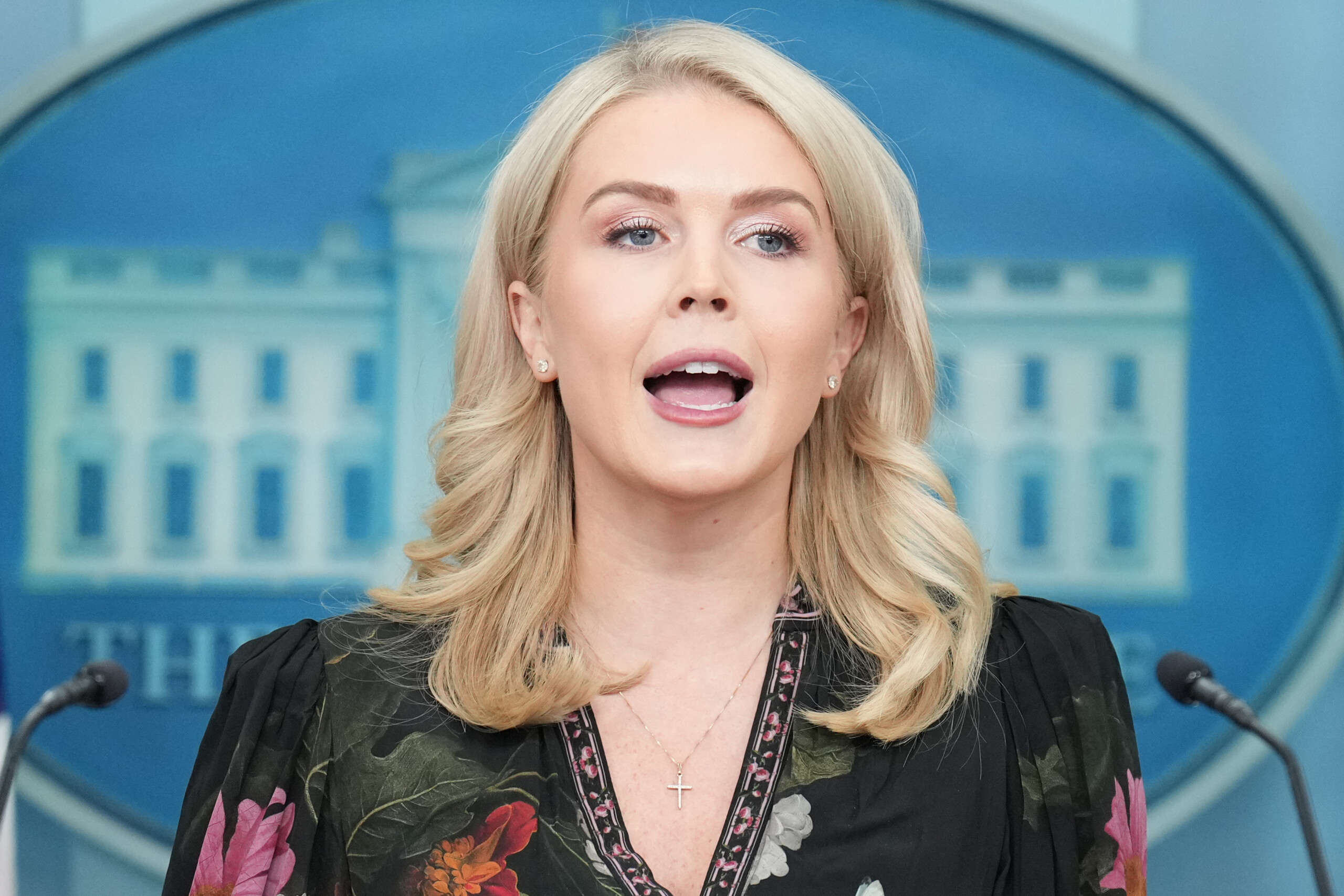 États-Unis, Maison-Blanche : « Sur l’affaire Epstein, les démocrates veulent diffamer Trump » 1 etats unis maison blanche sur laffaire epstein les democrates veulent diffamer trump scaled