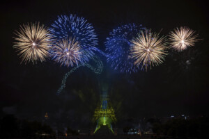 reveillon du nouvel an le wwf lance un appel aux municipalites arretons les petards et les feux dartifice