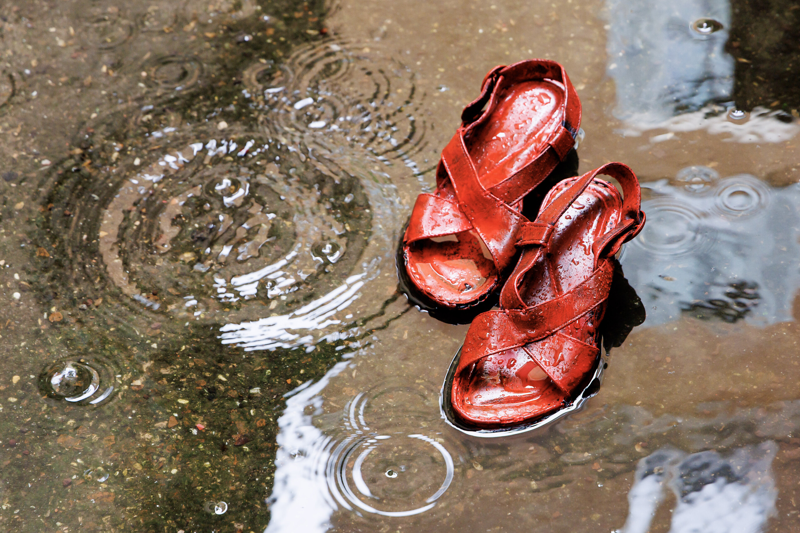 feminicides rapport sur les droits en italie violence systemique contre les femmes scaled