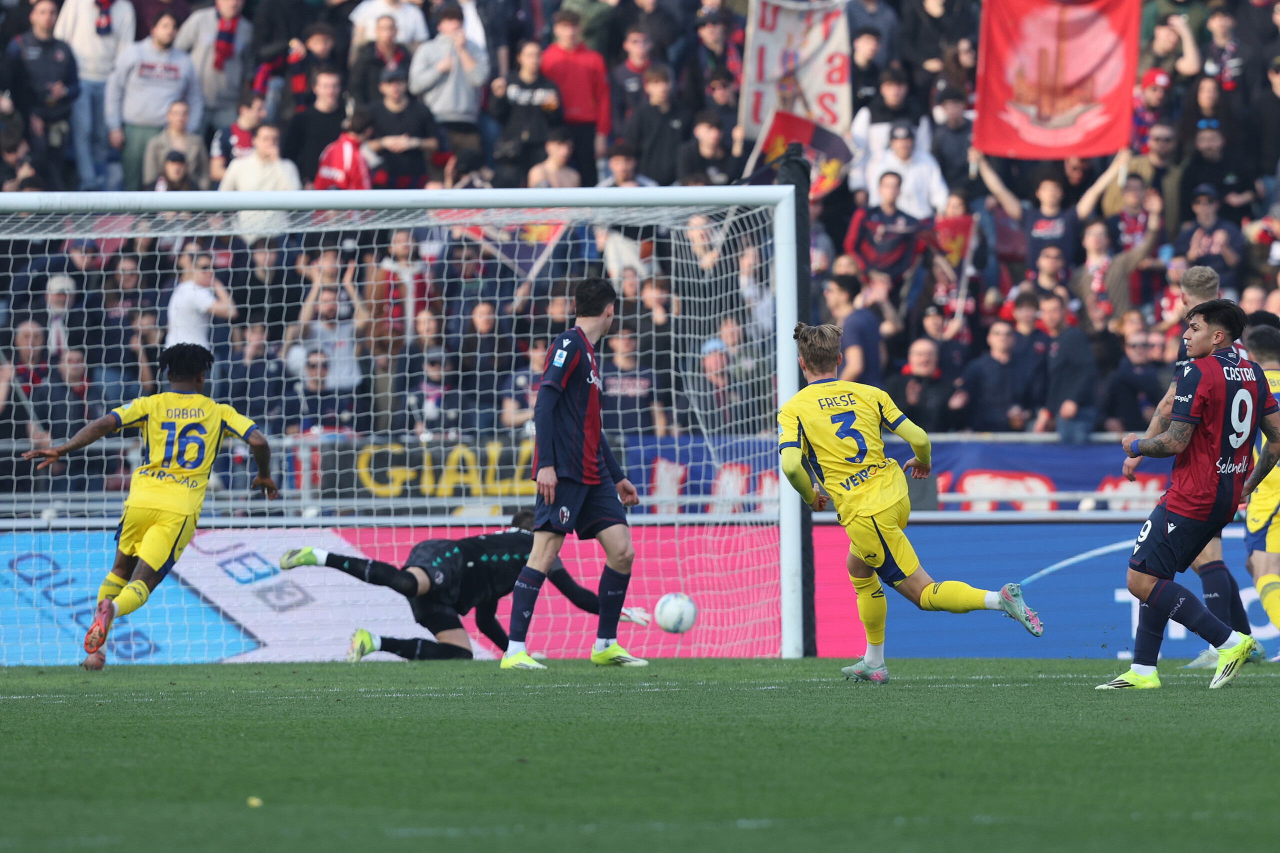 Football : Serie A, Bologne-Vérone 1-2 1 football serie a bologne verone 1 2 scaled