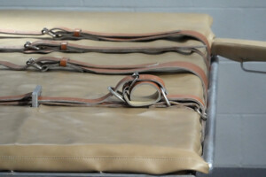 israel litalie lallemagne la france et le royaume uni sopposent a un projet de loi sur la peine de mort