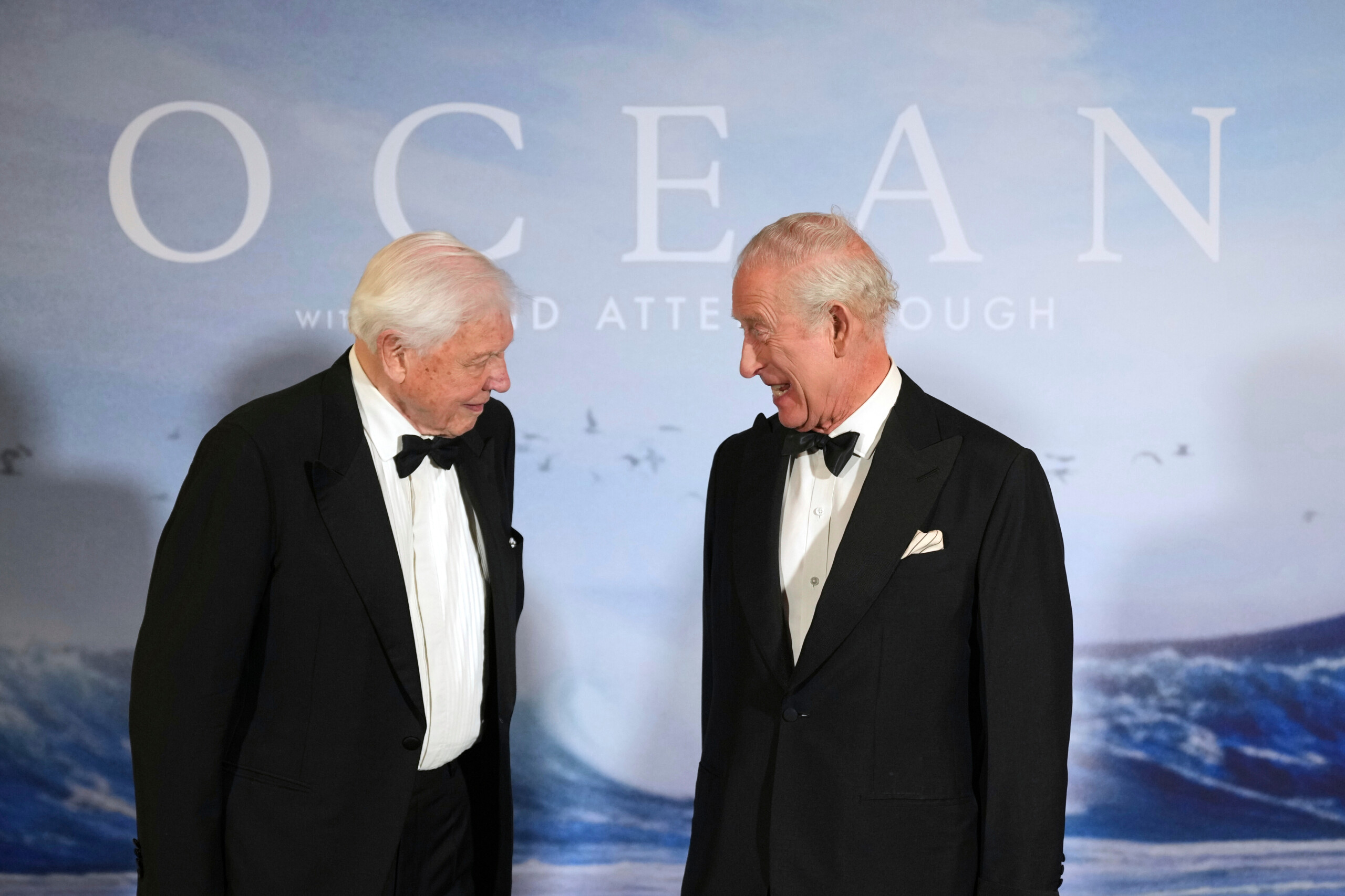 royaume uni david attenborough fete ses 100 ans grand evenement a londres scaled