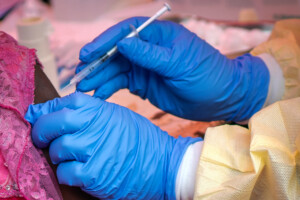 ebola nouvelle epidemie en republique democratique du congo 246 cas suspects et 65 deces